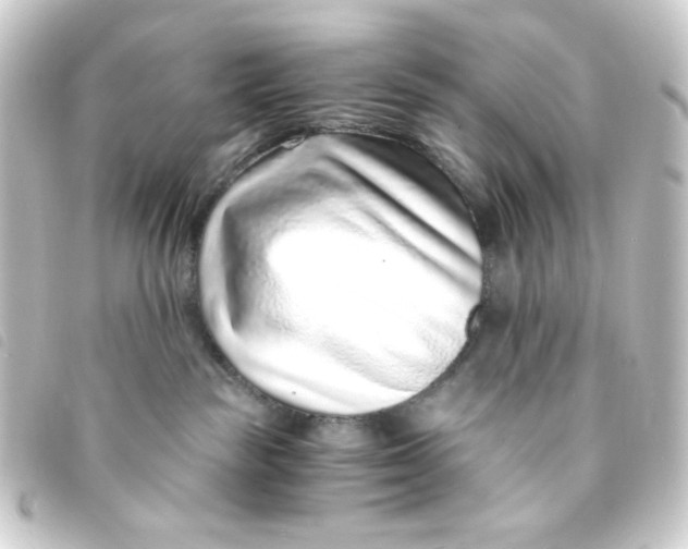 X0000093230189200710241243