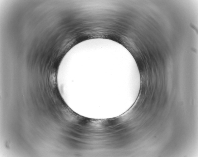 X0000093230190200710241243