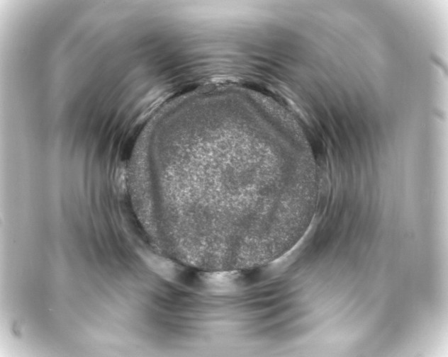 X0000093230191200710241243