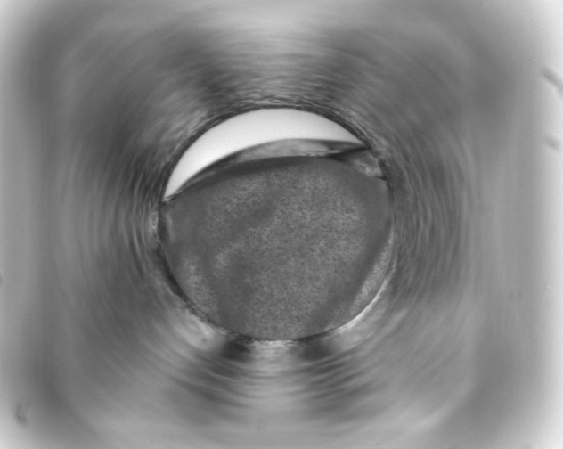 X0000093230192200710241243