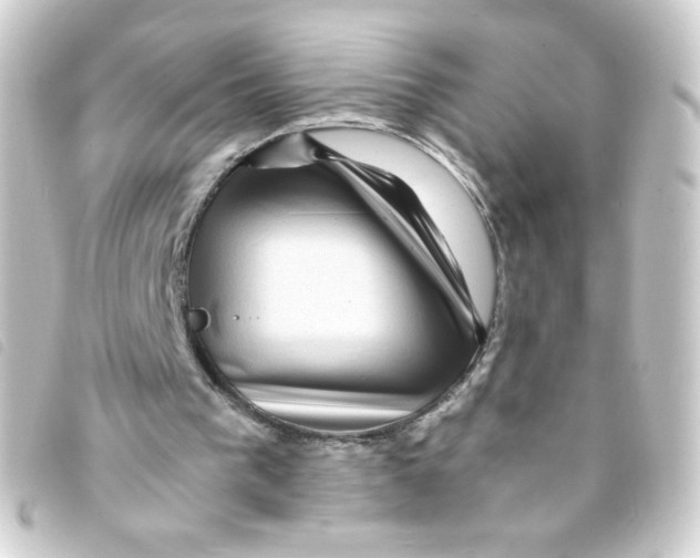 X0000093230193200710241242