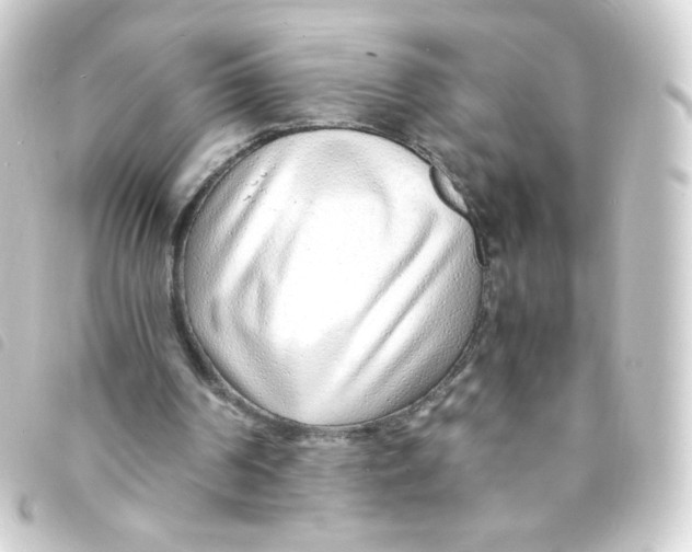 X0000093230194200710241242