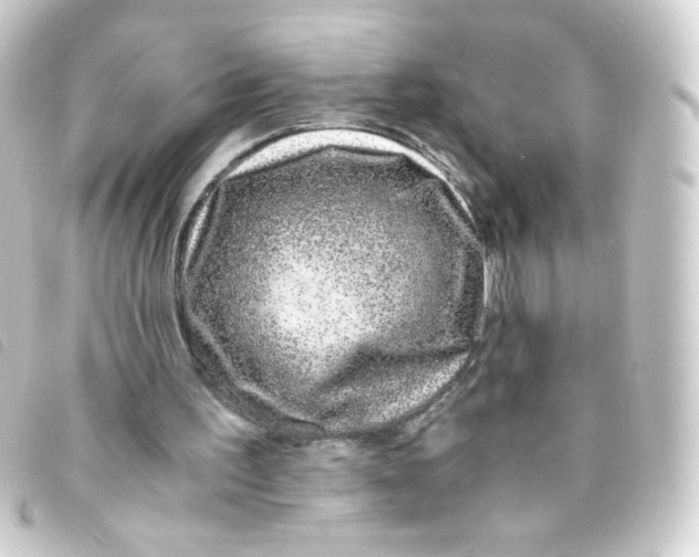 X0000093230195200710241242