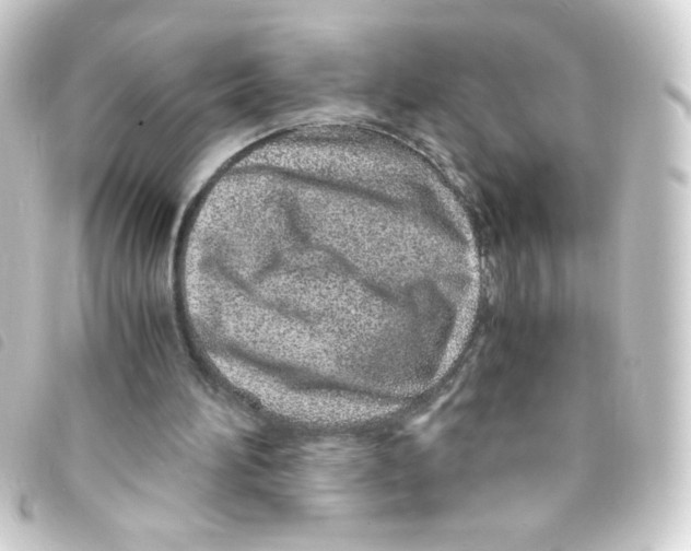 X0000093230196200710241242