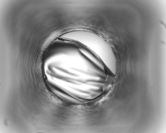 X0000093230197200710241242