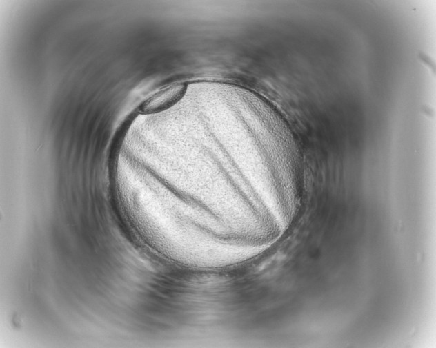 X0000093230198200710241242