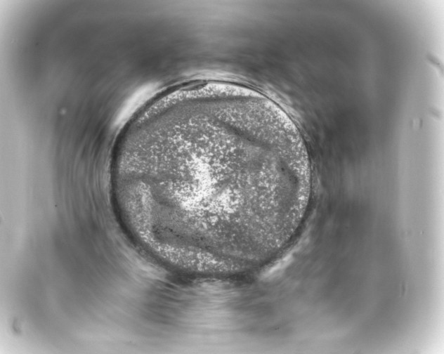 X0000093230199200710241242