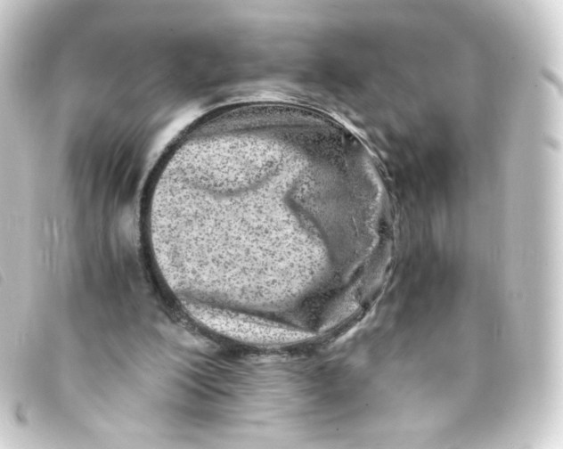 X0000093230200200710241242