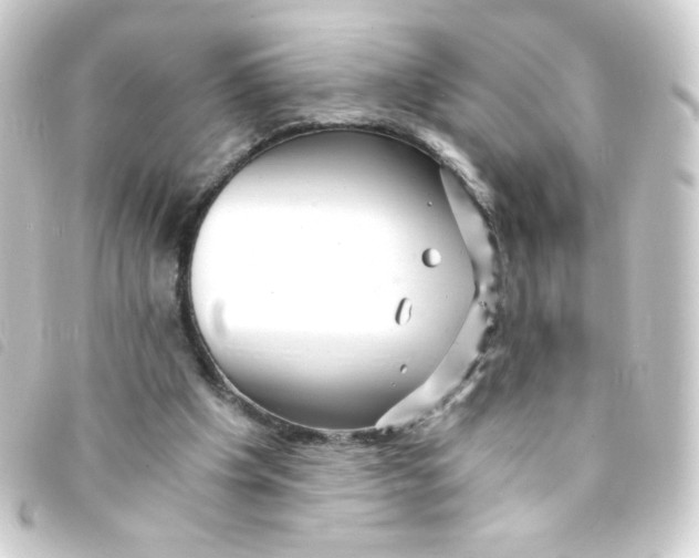 X0000093230201200710241242