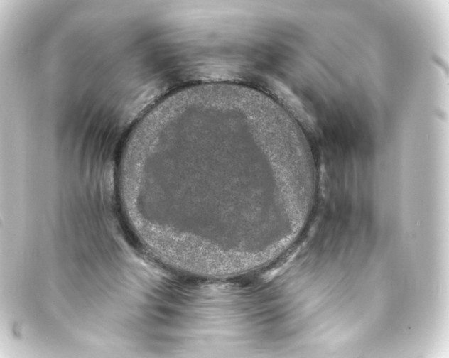 X0000093230202200710241242