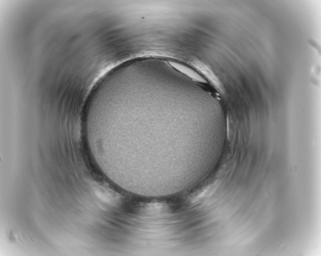 X0000093230204200710241242