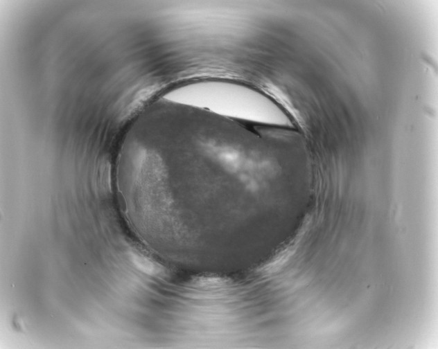 X0000093230205200710241242