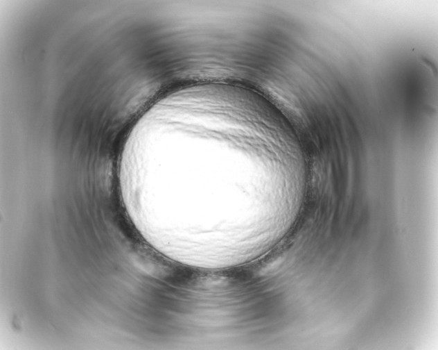 X0000093230206200710241242