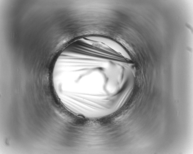 X0000093230207200710241242