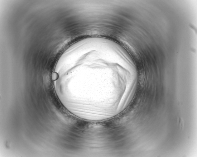 X0000093230208200710241242