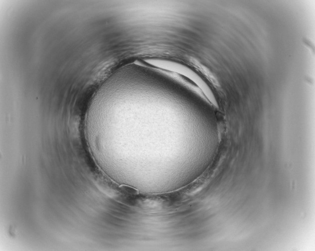 X0000093230209200710241242