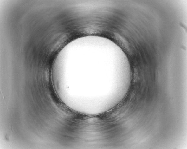 X0000093230210200710241242