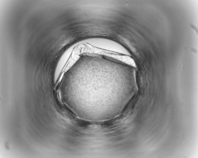 X0000093230211200710241242