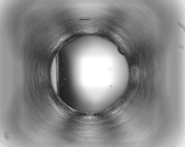 X0000093230212200710241242