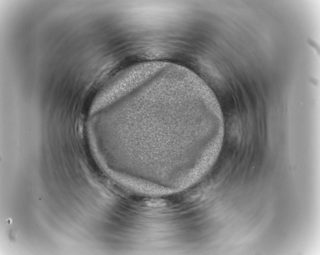 X0000093230214200710241242