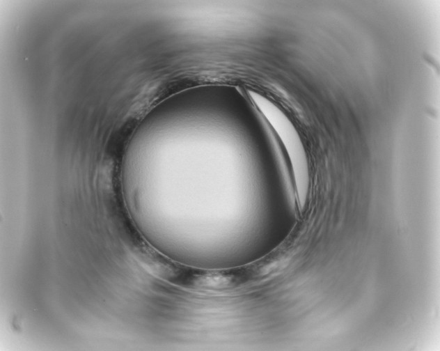 X0000093230217200710241242