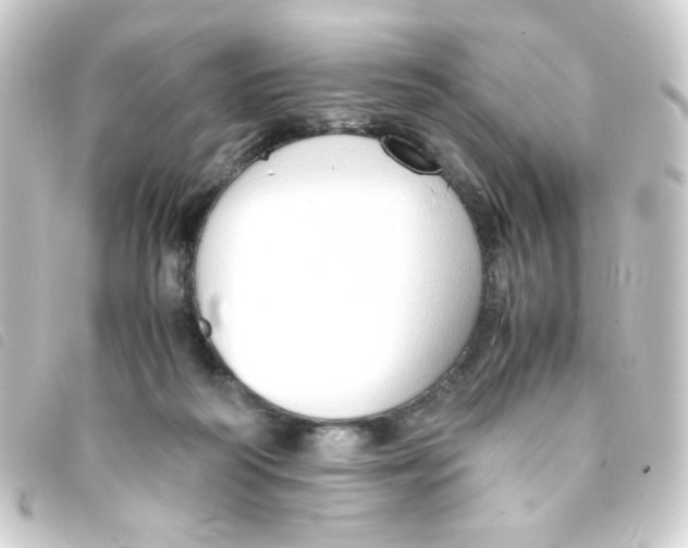 X0000093230218200710241242