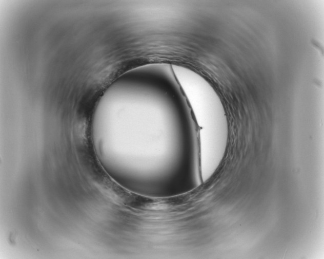 X0000093230219200710241242