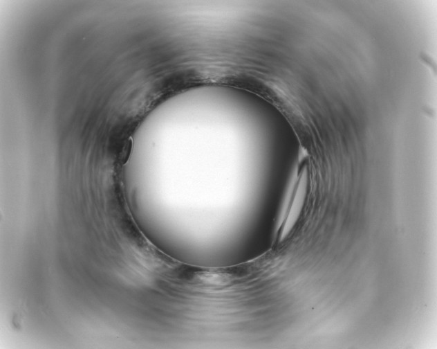 X0000093230221200710241242