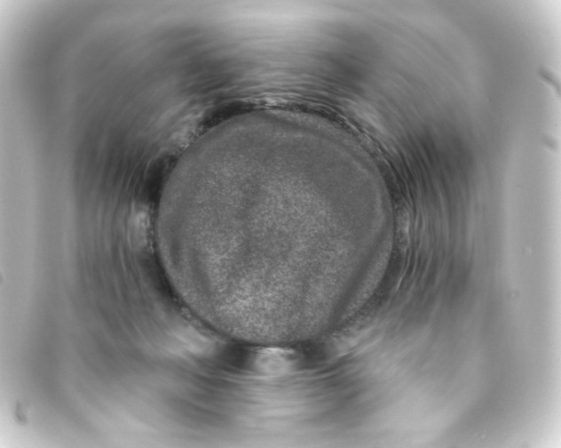 X0000093230222200710241242