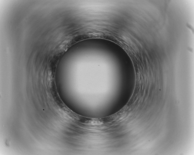 X0000093230223200710241242