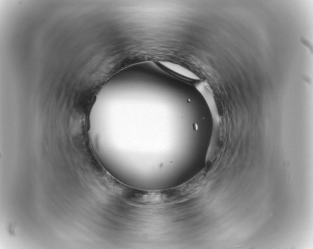 X0000093230225200710241242