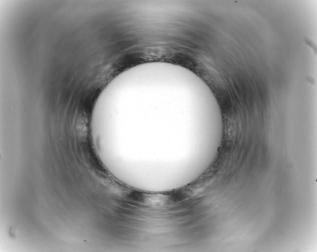 X0000093230226200710241242