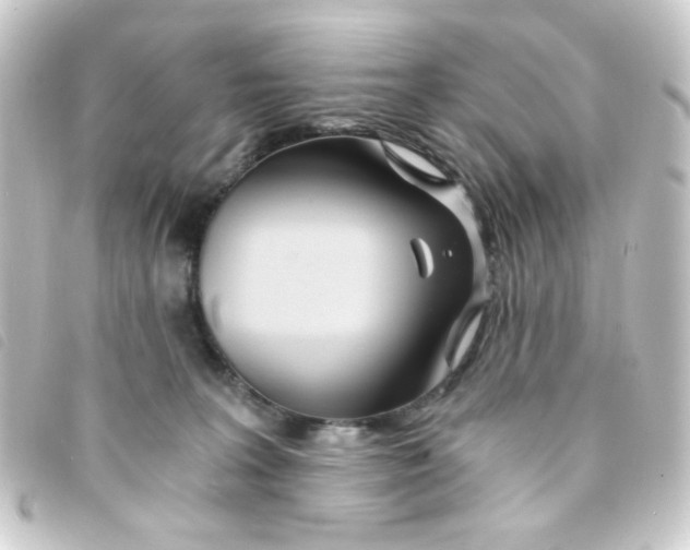 X0000093230227200710241242