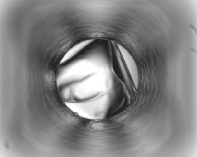 X0000093230228200710241242