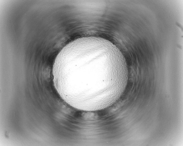 X0000093230230200710241242