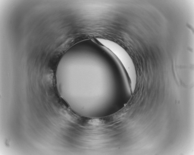 X0000093230231200710241242