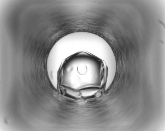 X0000093230233200710241242