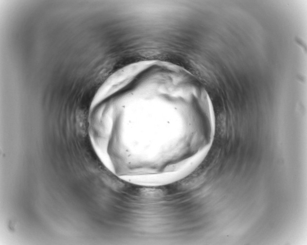 X0000093230234200710241242