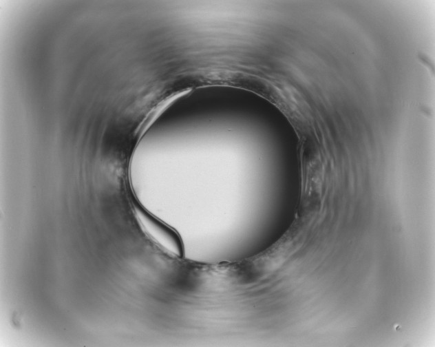 X0000093230235200710241242