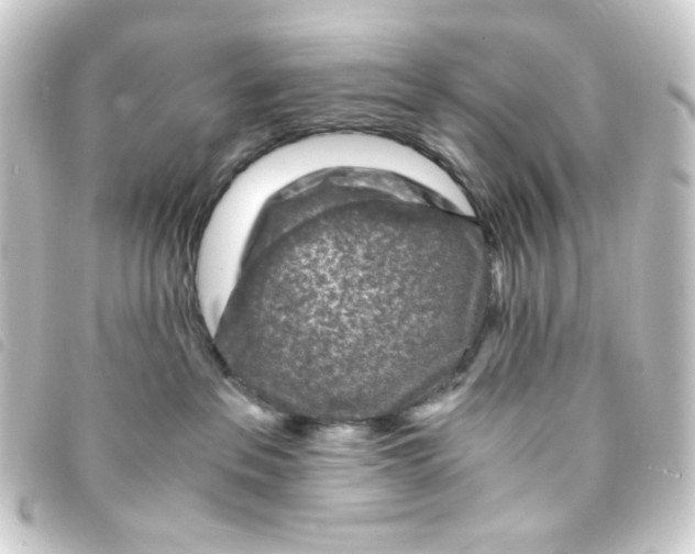 X0000093230237200710241242