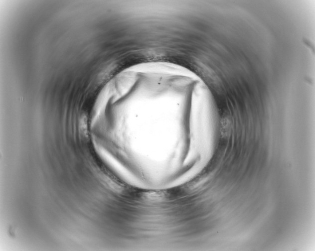 X0000093230238200710241242