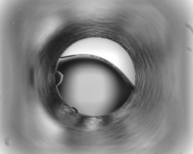 X0000093230239200710241242