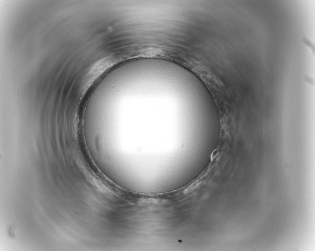 X0000093230242200710241241