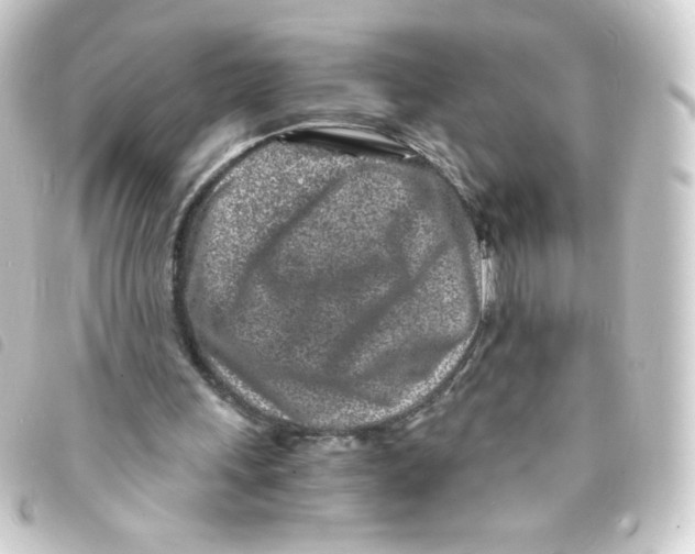 X0000093230243200710241241