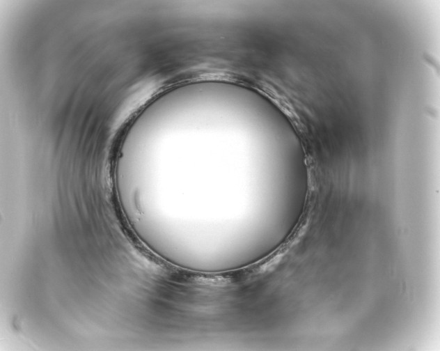 X0000093230245200710241241