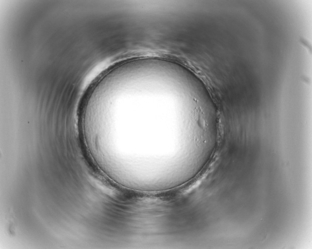 X0000093230246200710241241