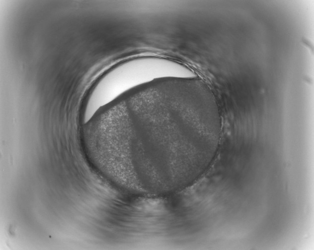 X0000093230247200710241241