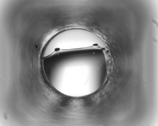 X0000093230248200710241241