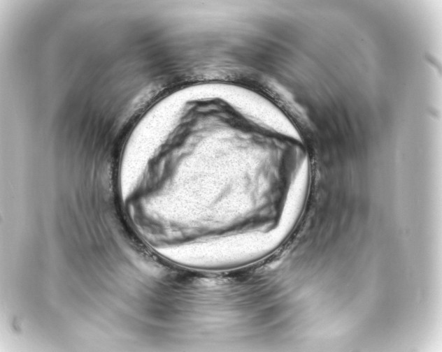 X0000093230250200710241241