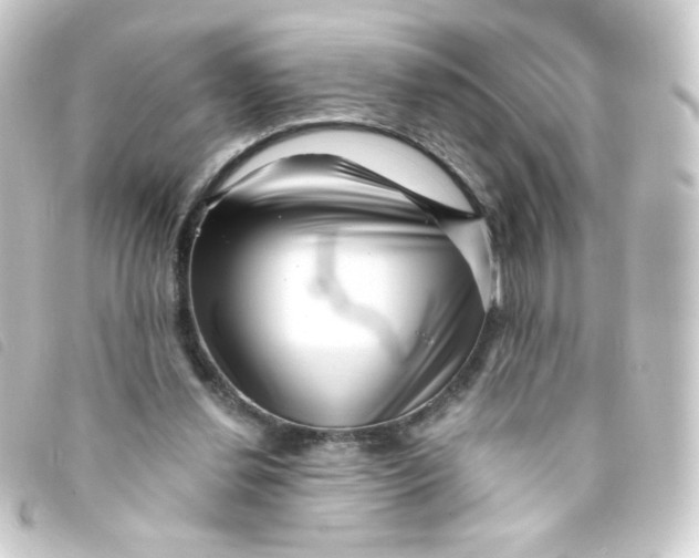 X0000093230252200710241241